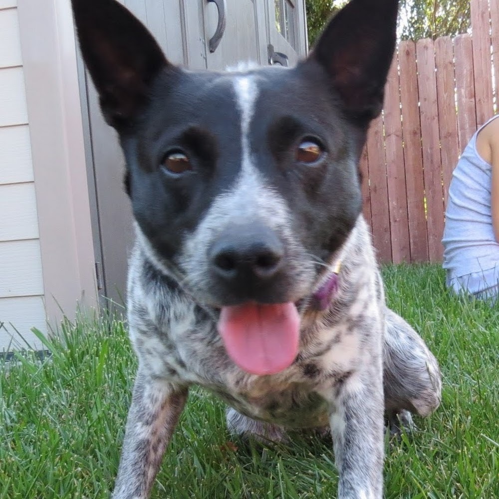 Meet your Posher, Charlotte